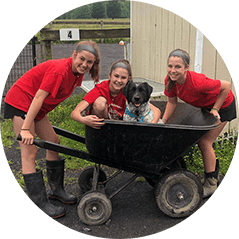 last chance ranch junior volunteer