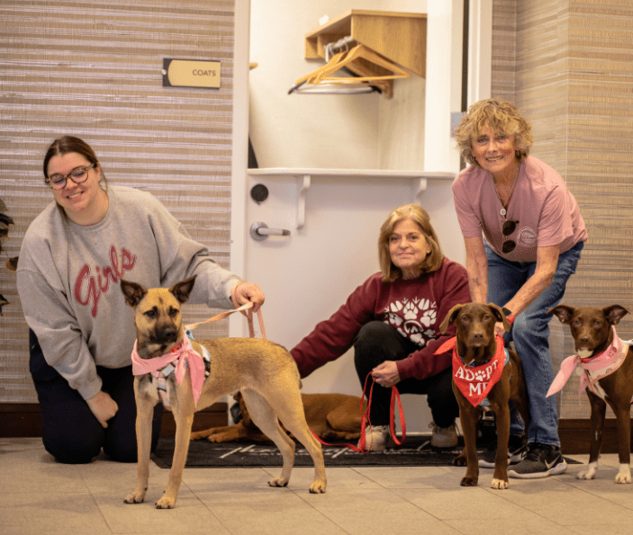 women with rescue dogs